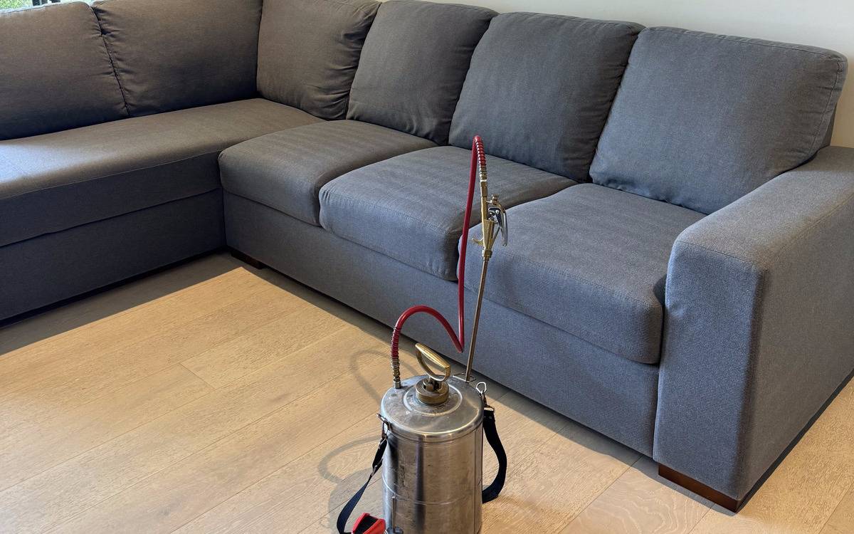 Fleas Living in Your Couch, Not Just the Carpet