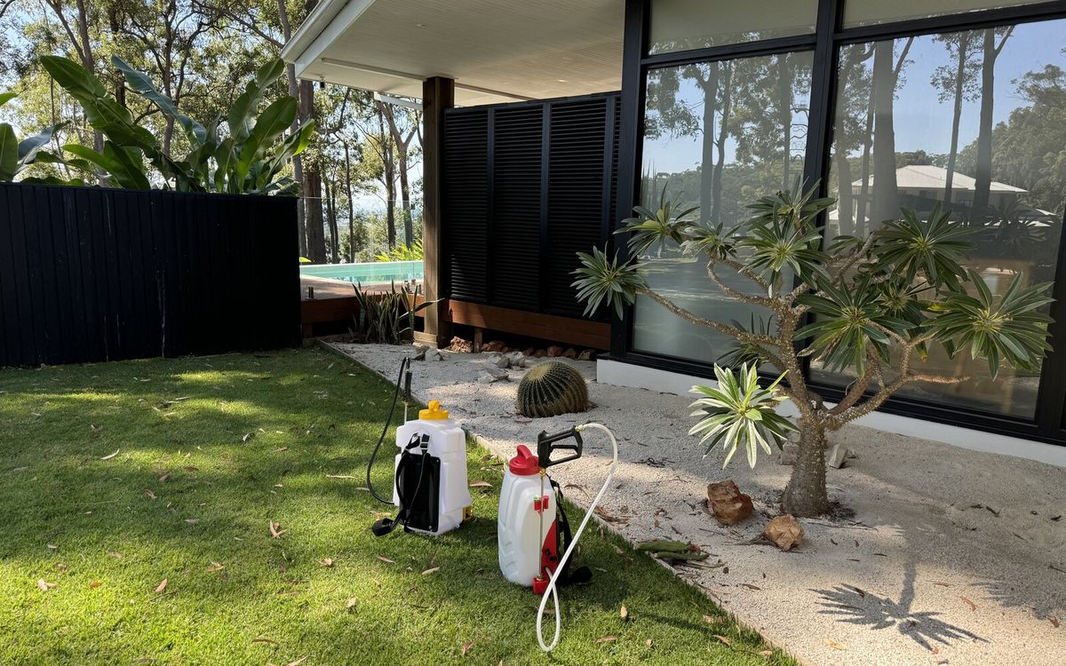 Getting Rid of Fleas in the Backyard, Not Just the Carpet