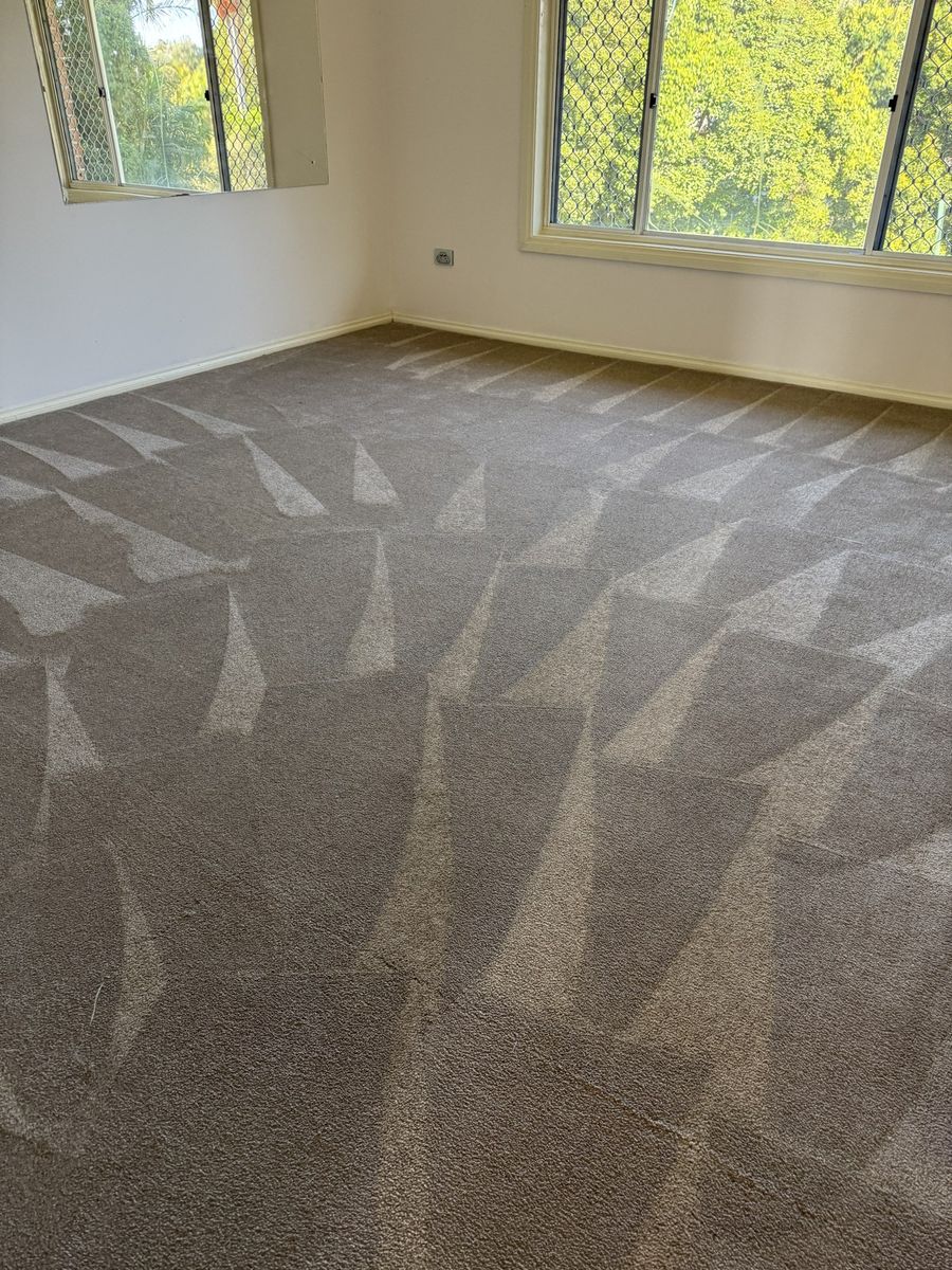 DIY Carpet Cleaning vs Professional Truck Mount: What's the Real Difference?