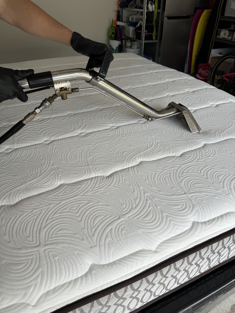 carpet cleaning Coombabah CPH Services Gold Coast