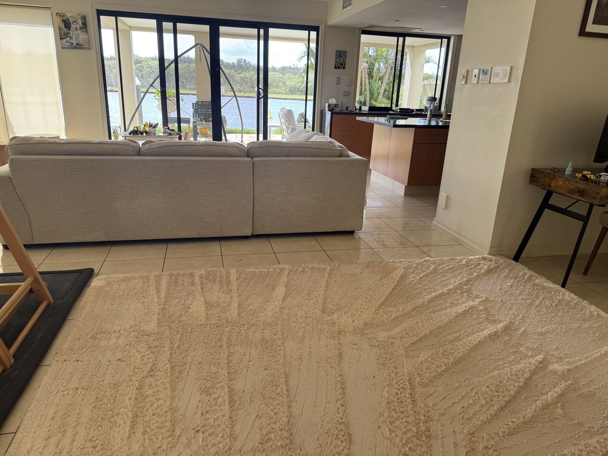 Water Damage on Carpet: What to Do in the First 24 Hours