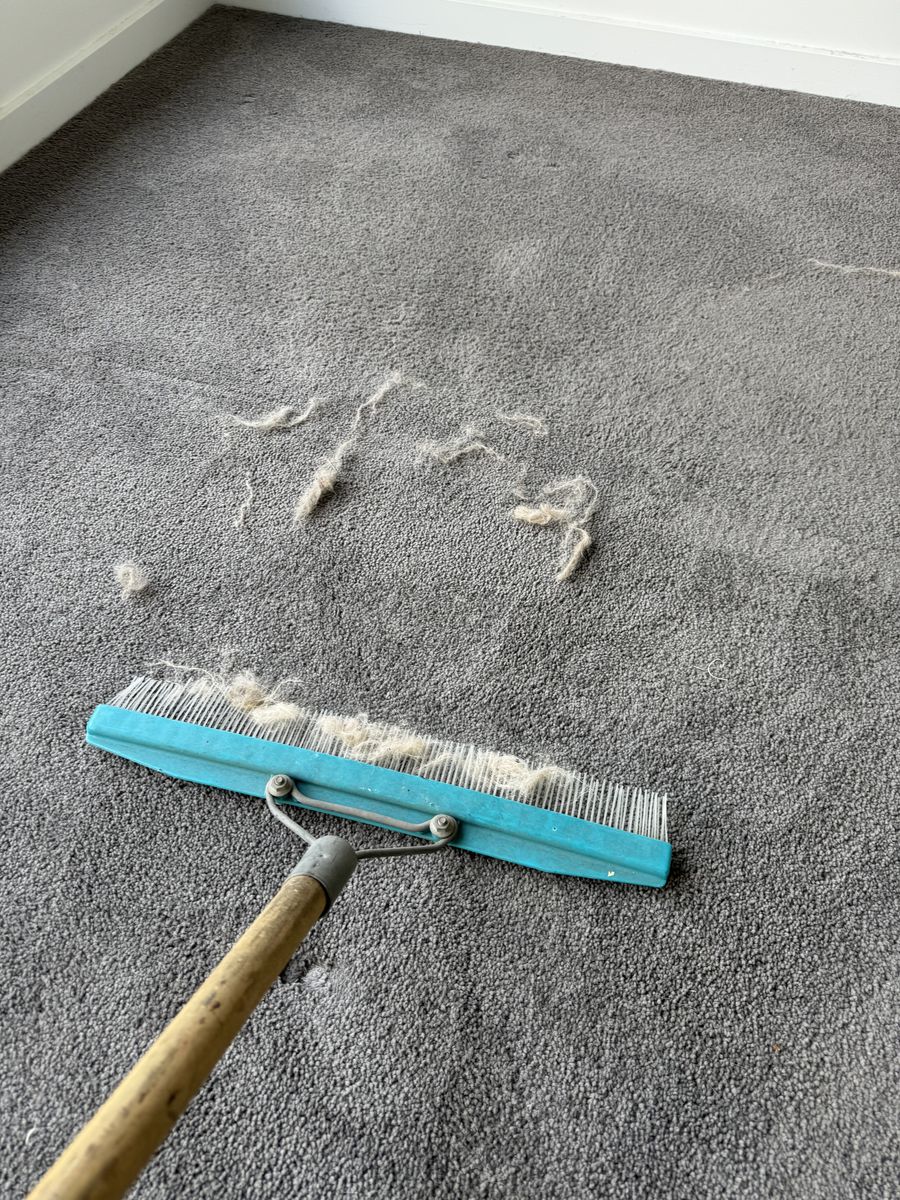 carpet cleaning Oxenford CPH Services Gold Coast