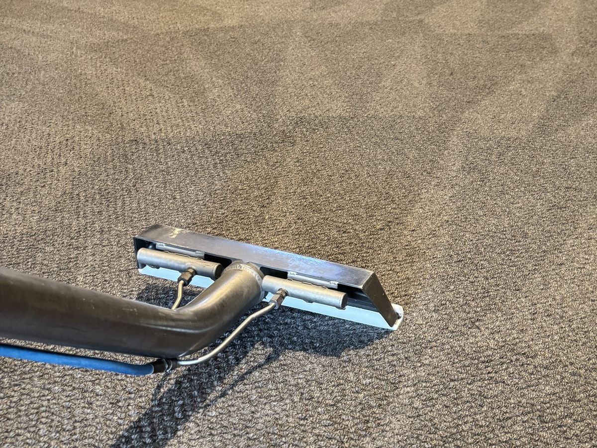carpet cleaning Gold Coast CPH Services Gold Coast