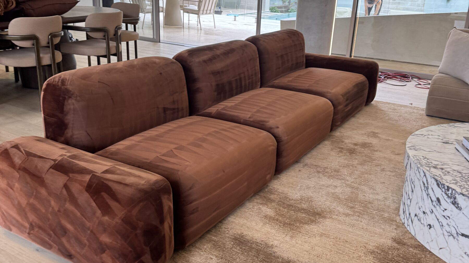 Why Couch Cleaning and Pest Control Get Booked Together