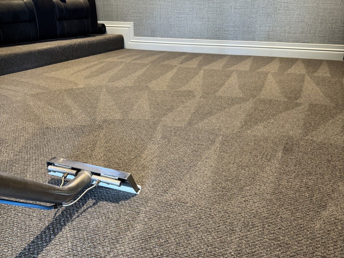 Hypoallergenic Carpet Cleaning Tips for Pet Owners